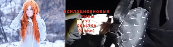 стаф Нязепетровск